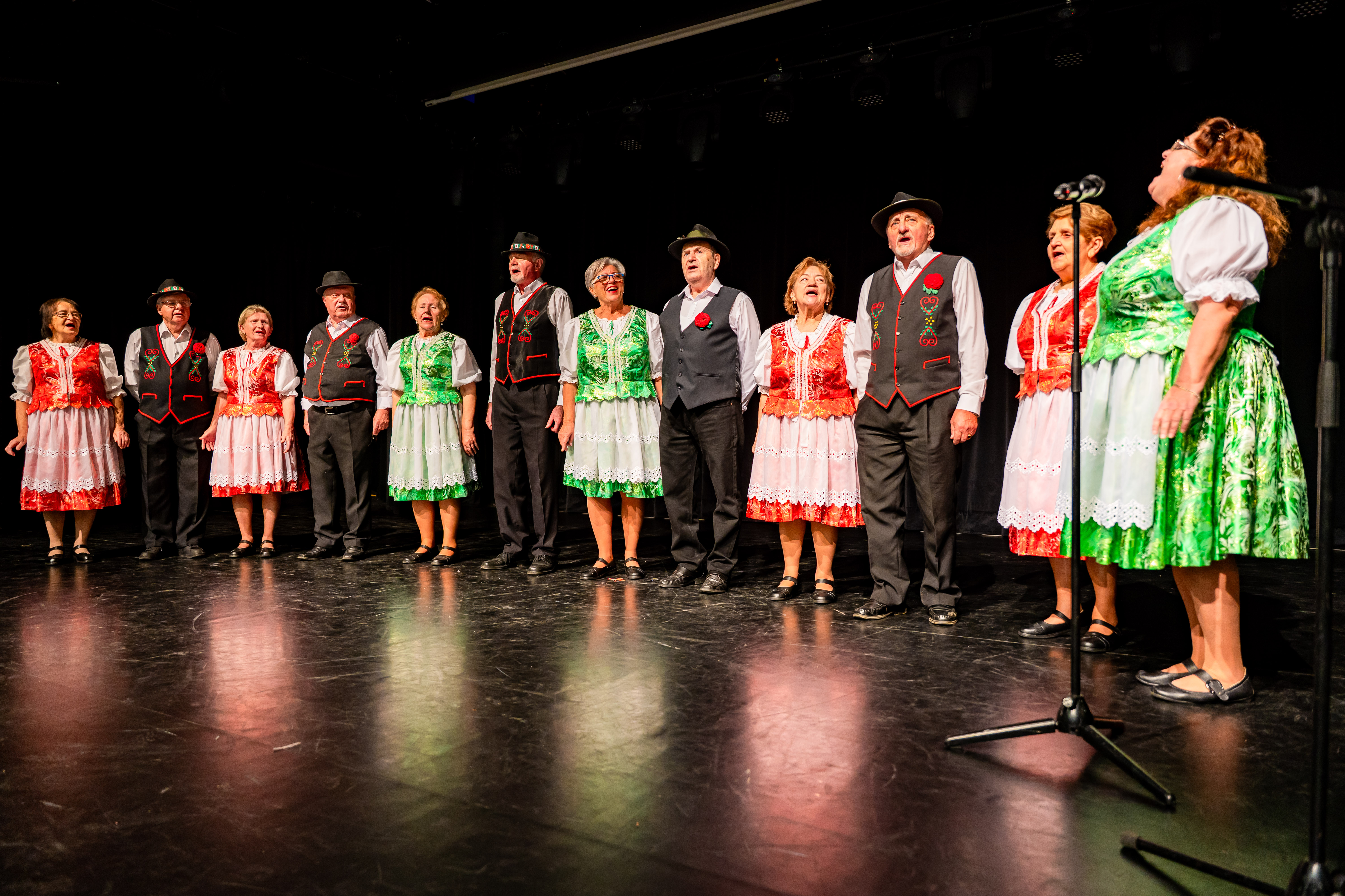 Vianocna seniorska hviezda -37